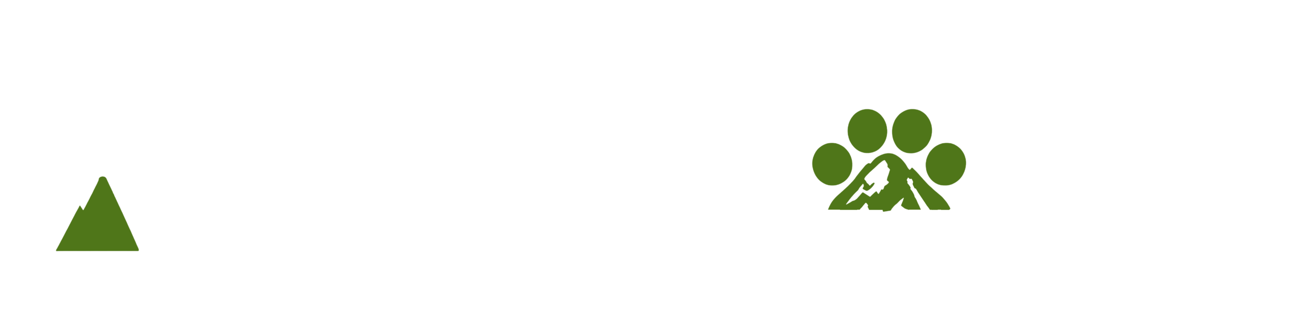 Pawsplorer