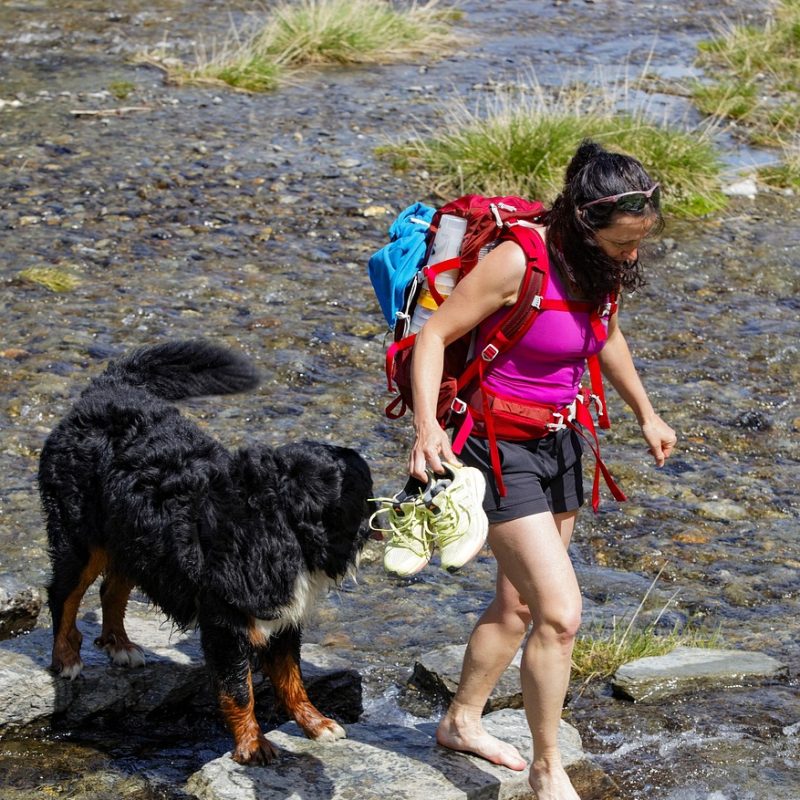 trek, river, trekking, nature, adventure, summer, water, mountain, animal, outdoor, people, wilderness, dog, pet, girl, woman