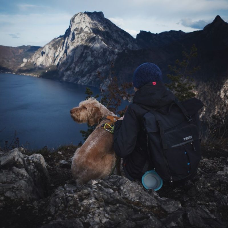 A person and their dog sit on a mountain top enjoying the breathtaking landscape view.