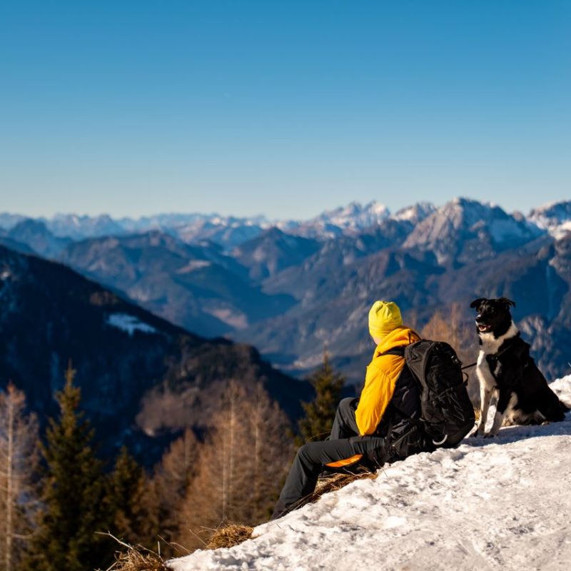 A person and their dog enjoying a snowy mountain view in the Italian Alps.